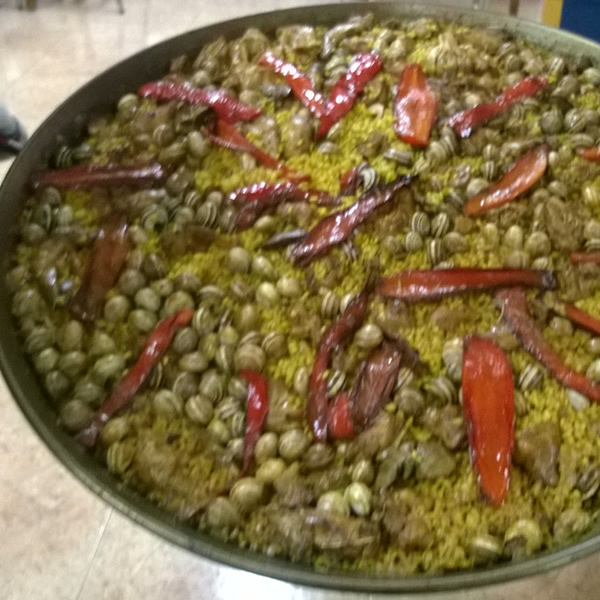 Arroces de Alicante: sabores auténticos del Mediterráneo que te harán volver por más. ¡Irresistibles!